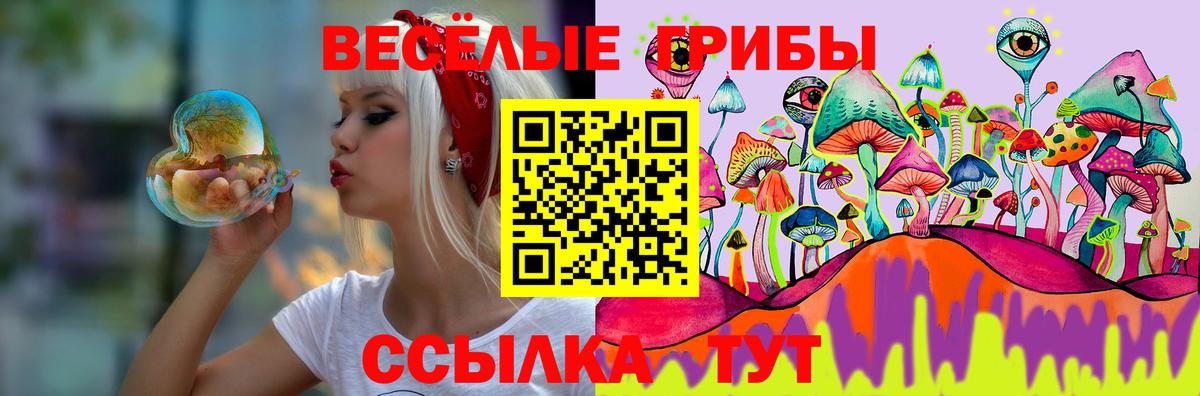 Галлюциногенные грибы MAGIC MUSHROOMS  Вход с VPN  Лесозаводск 